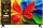 TCL 32" 32S4K QLED 81cm HD Android TV