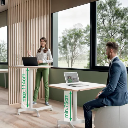 Leitz Ergo kisméretű ülő-álló asztal