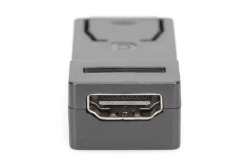 DIGITUS AK-340602-000-S Full HD 60Hz Dual-Mode 1.1a DisplayPort - HDMI type A adapter