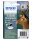 Epson T1306 Tintapatron Multipack 30,3ml