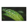Dahua Videofal kijelző 55" LS550KDH-UF, 24/7, UHD, 700