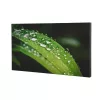 Dahua Videofal kijelző 55" LS550KDH-UF, 24/7, UHD, 700