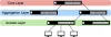 Ubiquiti UniFi USW-Aggregation 8x10GbE SFP+ port L2 menedzselhető switch